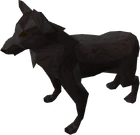 Shadow hound