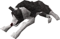 Sheepdog.png