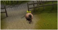 Sick Looking Sheep(1).png
