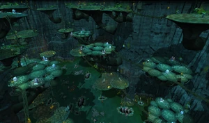 Polypore Dungeon