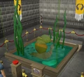 Snail Varrock Museum.png