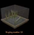 Snake display.png