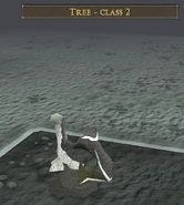 Stealing Creation tree