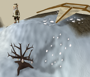 Thornybushonwwm