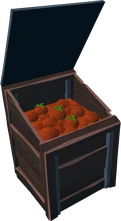 Tomatoes in bin