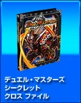 DM-Card Album Bolbalzak Sword Flash Dragon ver