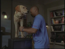 Scrubs120 4597