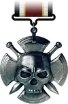 Team Deathmatch Medal