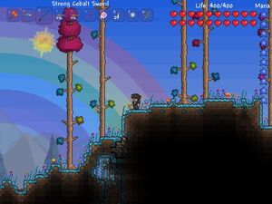 Hallowed biome