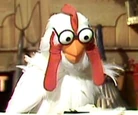 Scooter-chicken