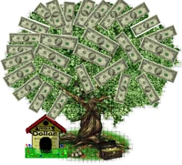 Money tree5