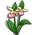 Lady Slipper-icon