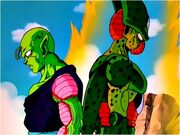 Cell