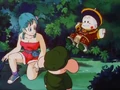 PuarTheChiaotzu