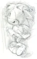AmyRoseconceptart