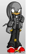 Kai the Echidna