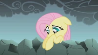 Fluttershy looks down at her friends S1E07