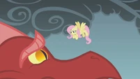 Fluttershy facing the dragon S1E17