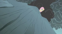 Fluttershy looks down at the cliff S1E07