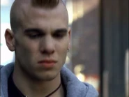 Dog96