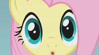 Fluttershy realizes something S1E07