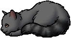 Frogleap.kit