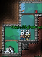 Bunny farm
