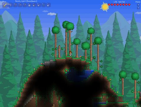 Terraria Forest Biome