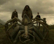 Aragog's funeral 2