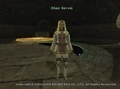 FFXI Sybil Guard Shaz Norem.png