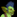 IconSmall Goblin Boy