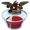 Crobak Blood