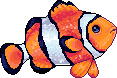 Donec Fish Adult.gif