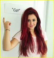 Images Ariana