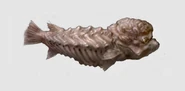 BrainFish01Concepts01