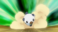 Ash Oshawott Tackle