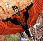 Tim Drake, Red Robin, Robin, New 52