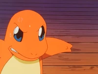 Ash Charmander Leer
