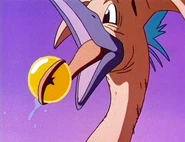BirdWithBlackDB
