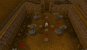 Traps galore
