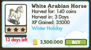 White Arabian Horse Market Info