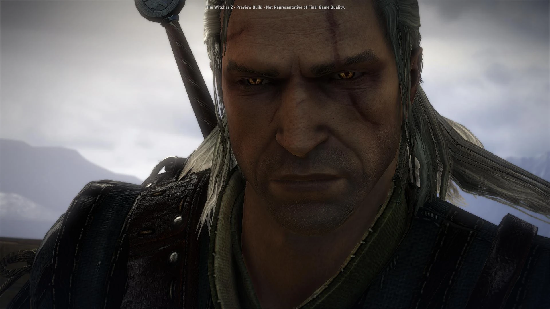 Woe+to+the+vanquished+witcher