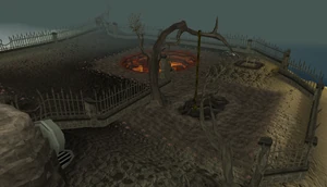 Wilderness Agility Course