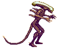 AVP ALIEN-ST STAND