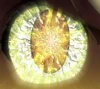 Uranometria Eye seal