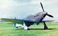 Yak-9 IRL.jpg