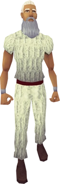 Ali the Mayor