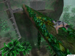 Jps 4