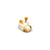 White Larva