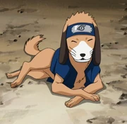 Guruko ninken